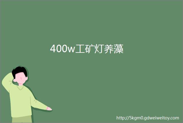 400w工矿灯养藻